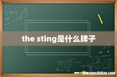the sting是什么牌子