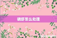 磷虾怎么处理