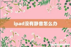 ipad没有静音怎么办