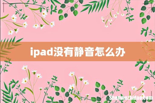 ipad没有静音怎么办