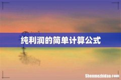 纯利润的简单计算公式