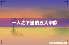 一人之下里的五大家族