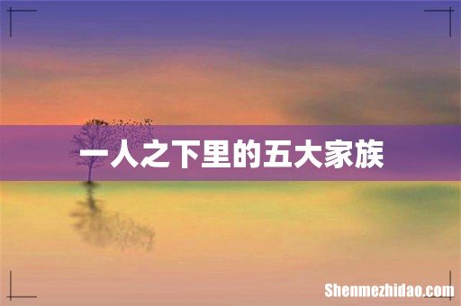 一人之下里的五大家族
