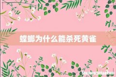 螳螂为什么能杀死黄雀