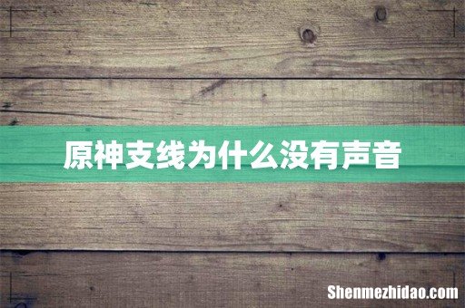 原神支线为什么没有声音