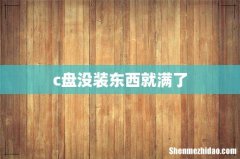 c盘没装东西就满了