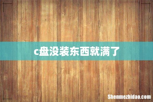 c盘没装东西就满了