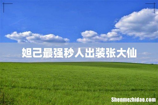 妲己最强秒人出装张大仙