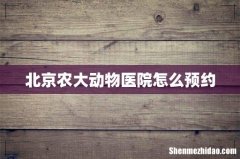 北京农大动物医院怎么预约