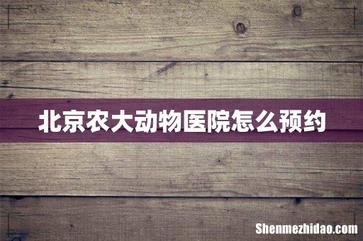 北京农大动物医院怎么预约