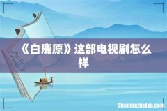 《白鹿原》这部电视剧怎么样