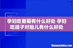 孕妇吃葡萄有什么好处 孕妇吃提子对胎儿有什么好处