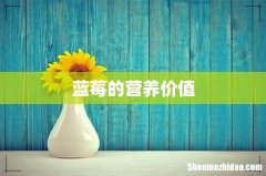 蓝莓的营养价值