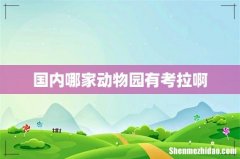 国内哪家动物园有考拉啊
