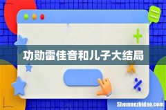 功勋雷佳音和儿子大结局