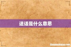 送话是什么意思