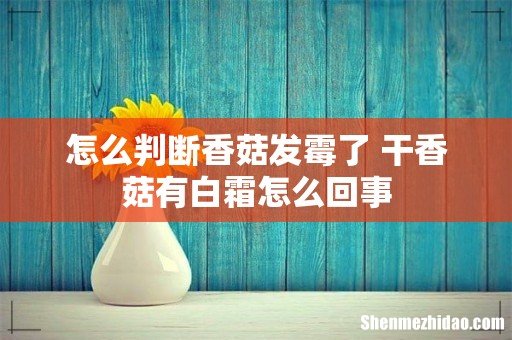 怎么判断香菇发霉了 干香菇有白霜怎么回事