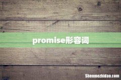 promise形容词
