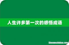 人生许多第一次的感悟成语