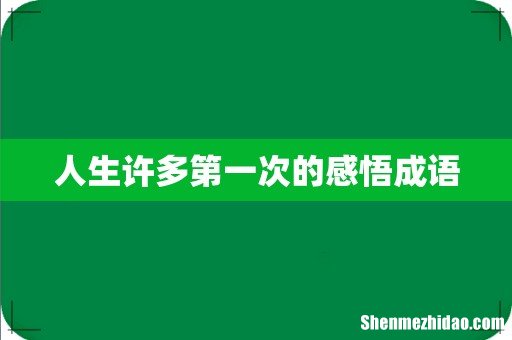 人生许多第一次的感悟成语