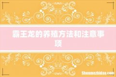 霸王龙的养殖方法和注意事项