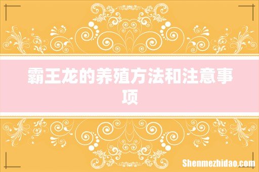 霸王龙的养殖方法和注意事项