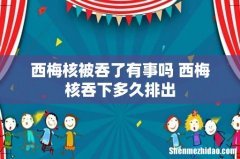 西梅核被吞了有事吗 西梅核吞下多久排出