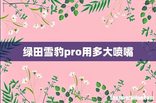 绿田雪豹pro用多大喷嘴
