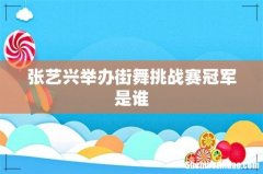 张艺兴举办街舞挑战赛冠军是谁