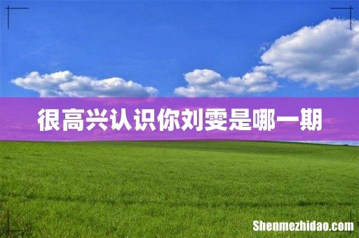 很高兴认识你刘雯是哪一期