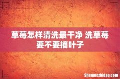 草莓怎样清洗最干净 洗草莓要不要摘叶子