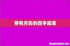 带有月影的四字成语
