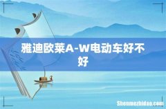 雅迪欧莱A-W电动车好不好