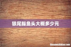 狼尾鲻鱼头大概多少元