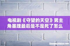 电视剧《守望的天空》男主角墨理最后是不是死了怎么死的