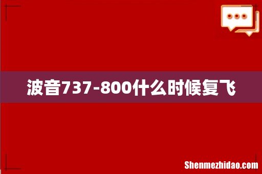 波音737-800什么时候复飞