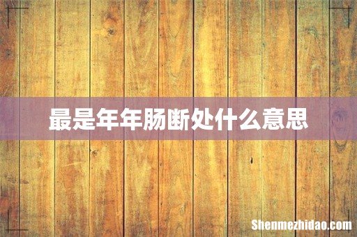 最是年年肠断处什么意思