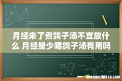 月经来了煮鸽子汤不宜放什么 月经量少喝鸽子汤有用吗