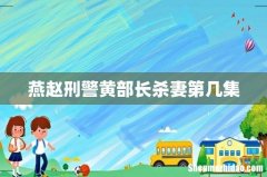 燕赵刑警黄部长杀妻第几集