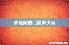 泰姬陵的门票多少元