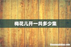 梅花儿开一共多少集
