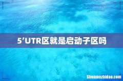 5’UTR区就是启动子区吗