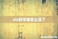 xls的字体怎么没了
