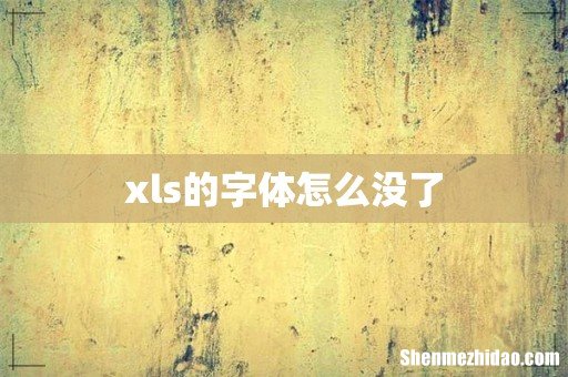 xls的字体怎么没了