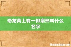 恐龙背上有一排扇形叫什么名字