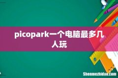 picopark一个电脑最多几人玩