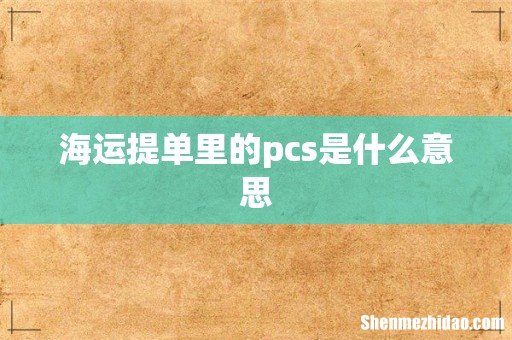 海运提单里的pcs是什么意思