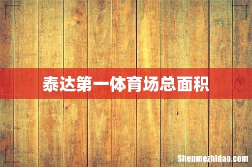 泰达第一体育场总面积
