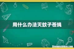 用什么办法灭蚊子苍蝇