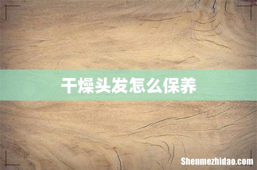干燥头发怎么保养